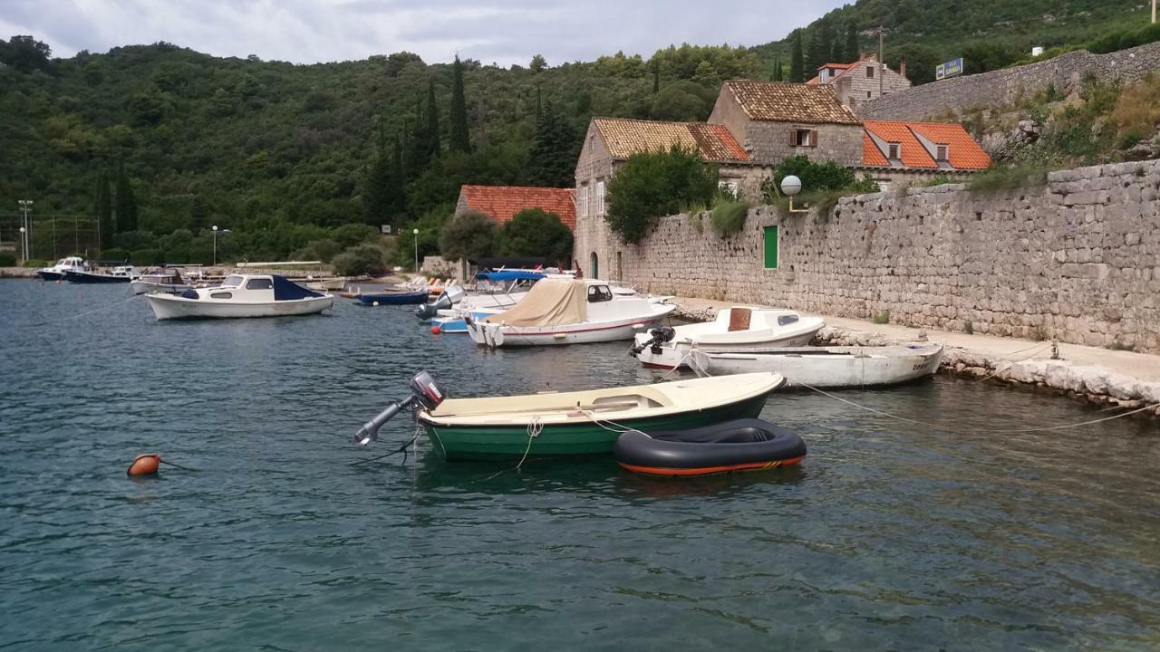 Vesna - Your Best Choice - 80 M From Beach Zaton  Exterior photo