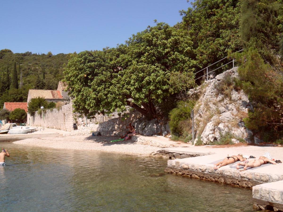 Vesna - Your Best Choice - 80 M From Beach Zaton  Exterior photo